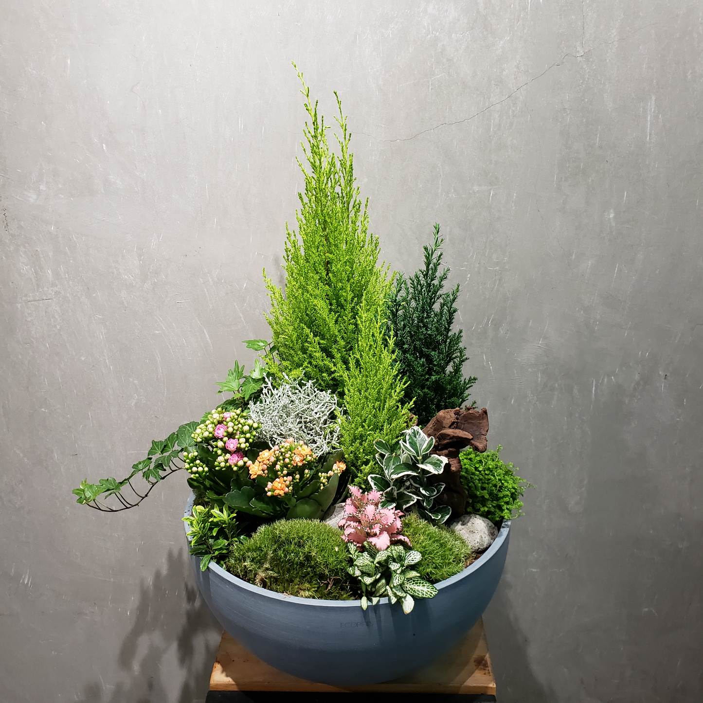 Bespoke Plant Arrangement