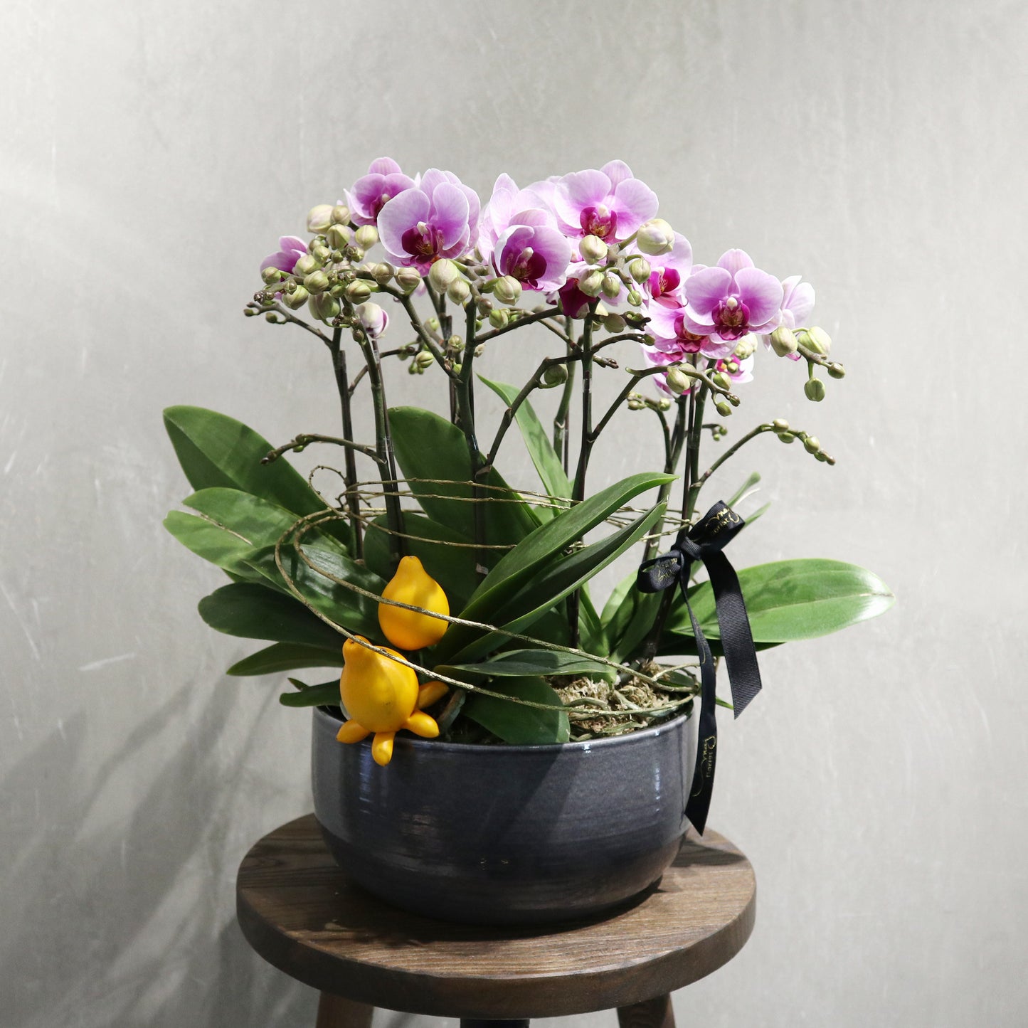CNY mini - 8-stem mini Orchids arrangement