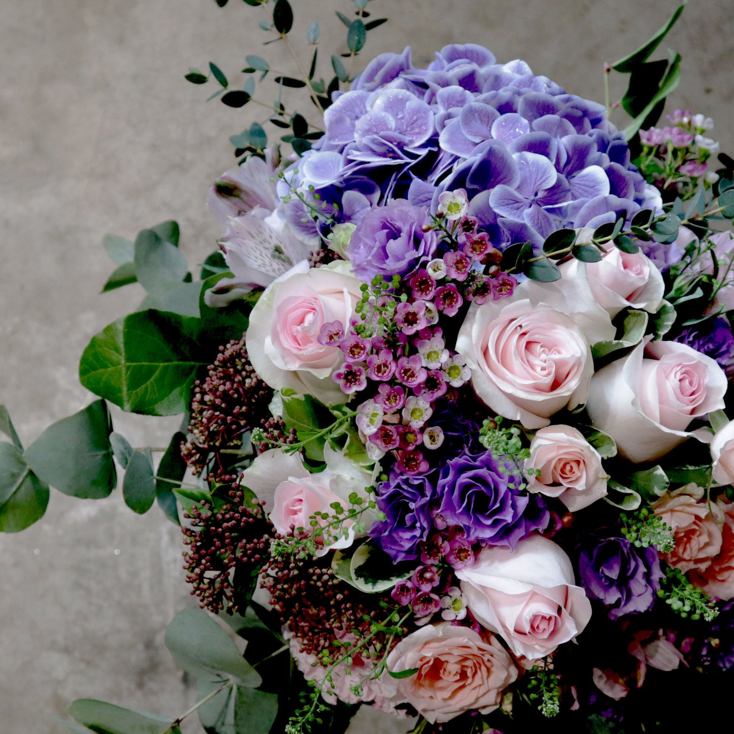 Be My Valentine - Hydrangea
