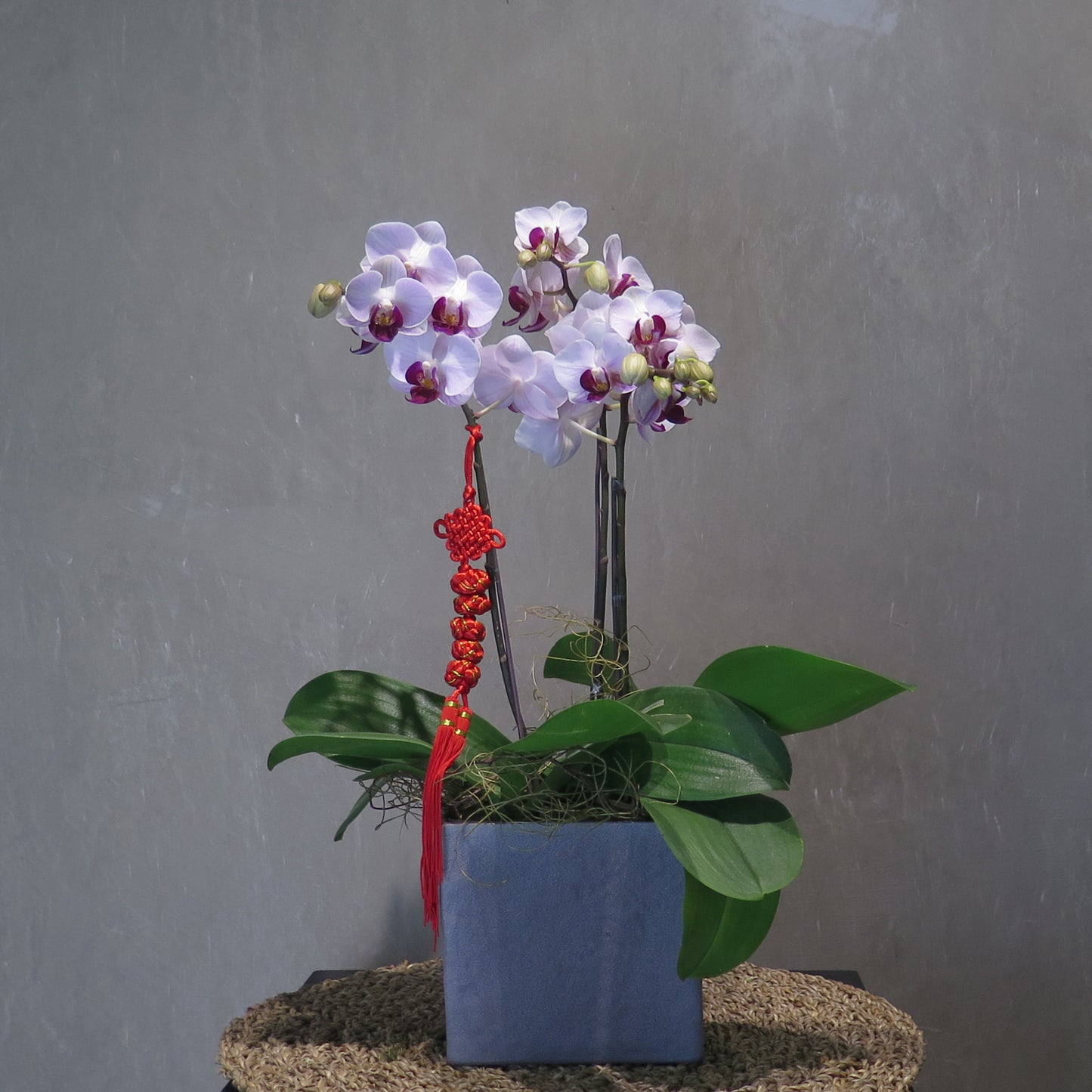 CNY 002 - 2-stem Orchid Arrangement
