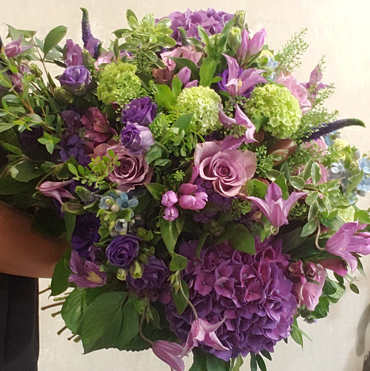 Be My Valentine - Hydrangea