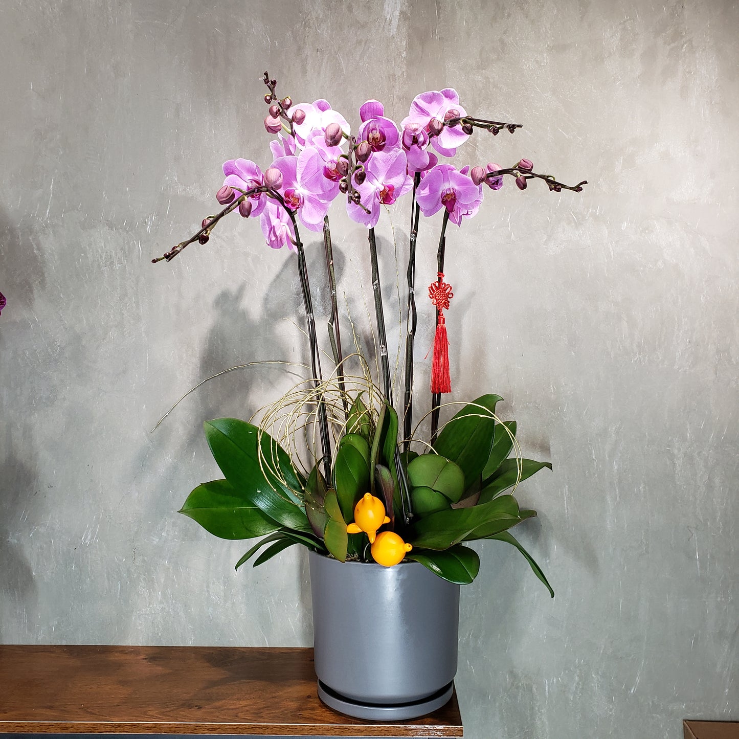 CNY005 - 5-Stem Orchid Arrangement