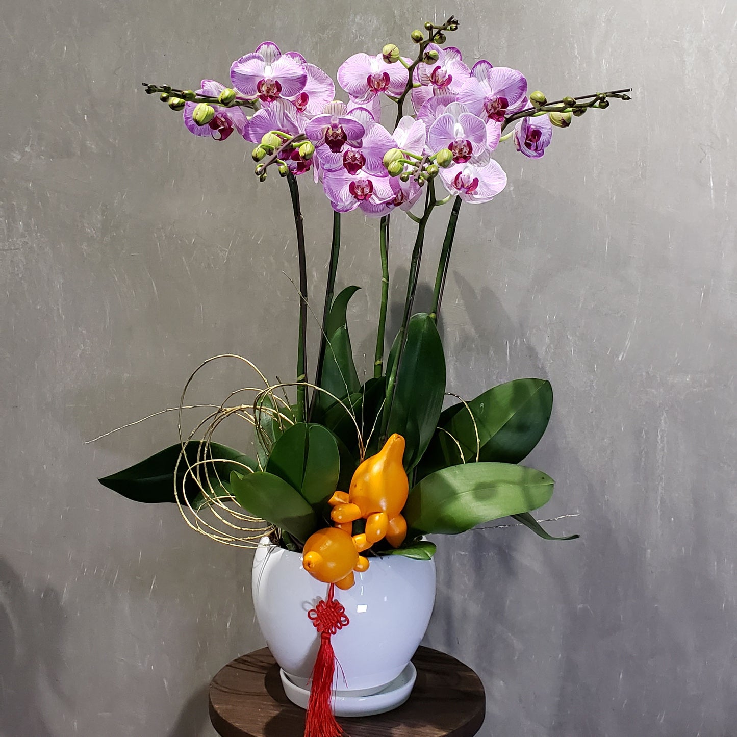 CNY005 - 5-Stem Orchid Arrangement