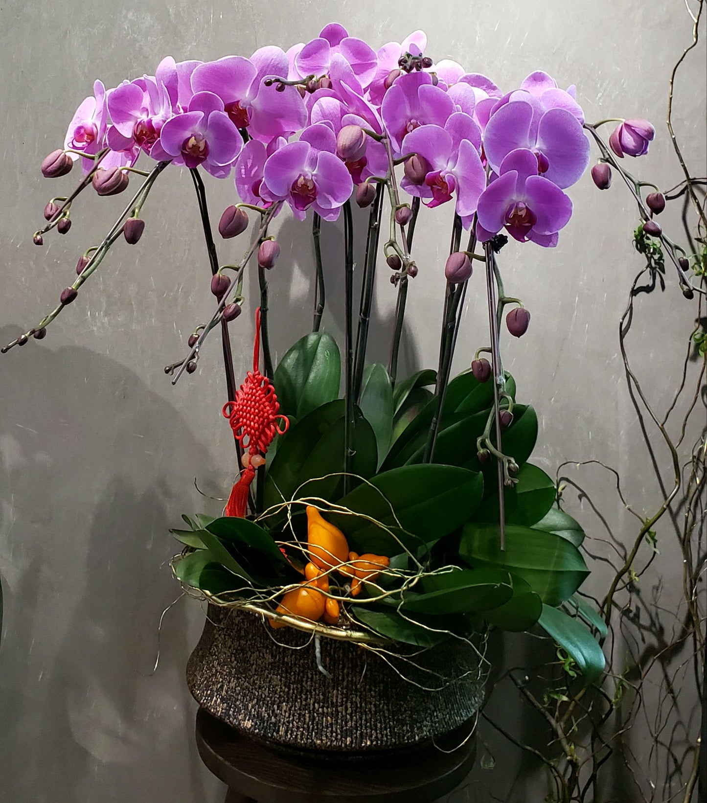 CNY 008 -  8-Stem Orchid Arrangement